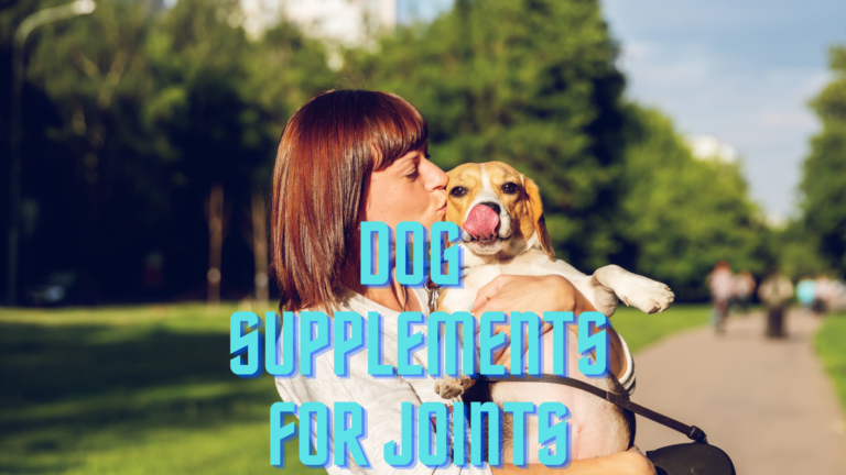 Best dog supplements for joints